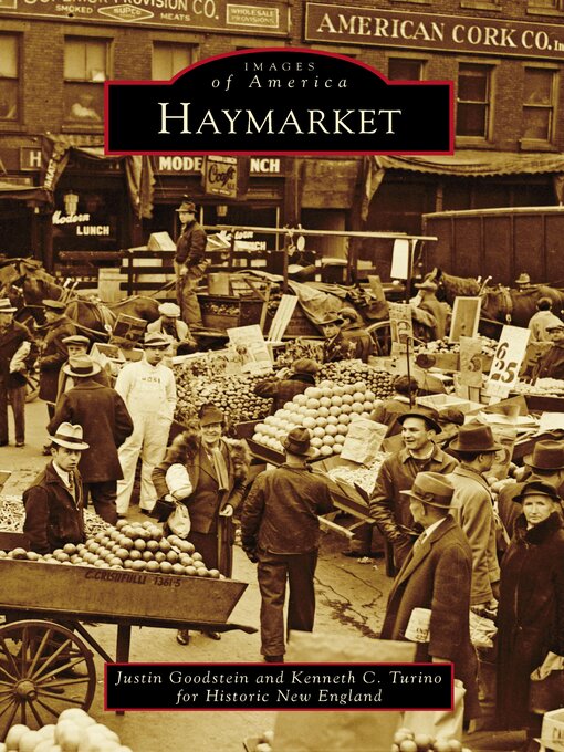 Title details for Haymarket by Justin Goodstein - Available